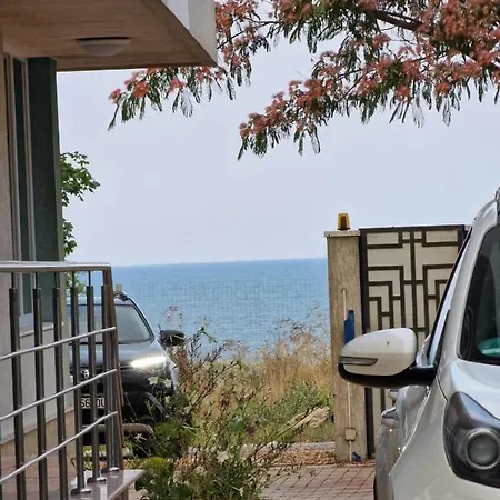 Steluta De Mare 南埃福列